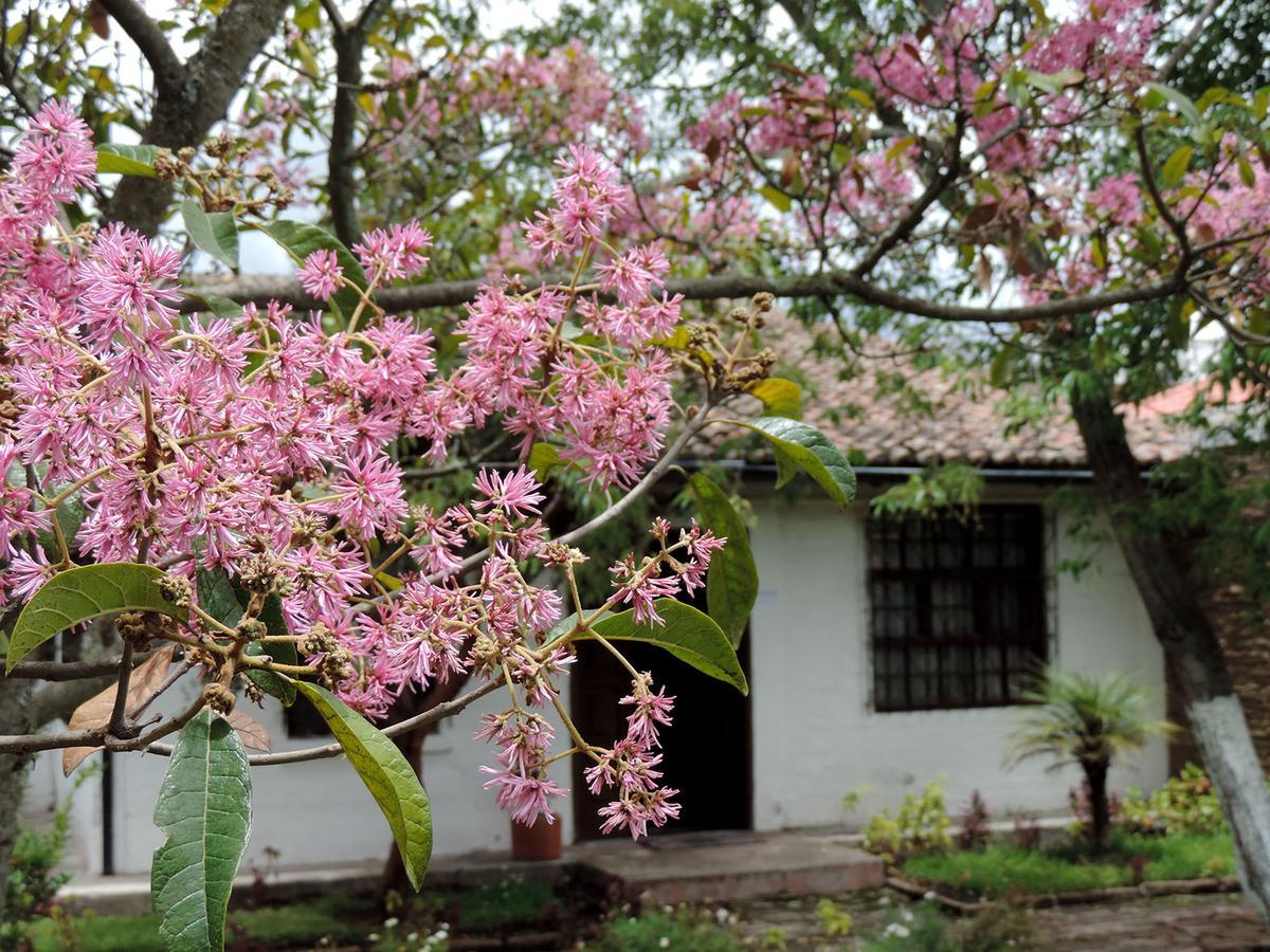 Hotel La Primavera ริโอบัมบา ภายนอก รูปภาพ